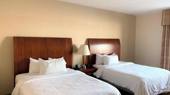 Hilton Garden Inn Oconomowoc | Wisconsin - Milwaukee (ve civarı) - Oconomowoc