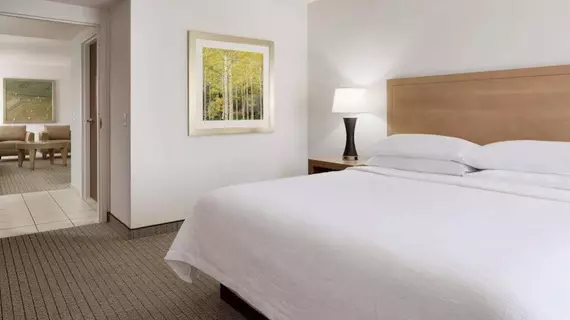 Embassy Suites Denver - International Airport | Kolorado - Denver (ve civarı) - Denver