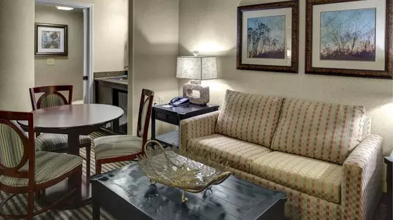 Holiday Inn Express Hotel & Suites Atlanta Buckhead | Georgia - Atlanta (ve civarı) - Atlanta - Buckhead