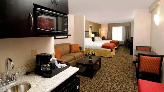 Holiday Inn Express Hotel & Suites Alexandria - Fort Belvoir | Virginia - İskenderiye - Belle Haven