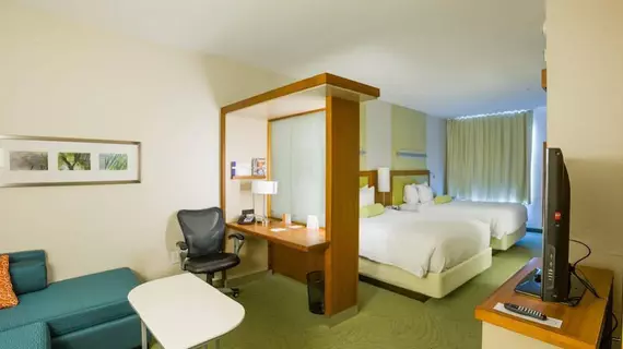 SpringHill Suites by Marriott Huntsville West/Research Park | Alabama - Huntsville (ve civarı) - Huntsville