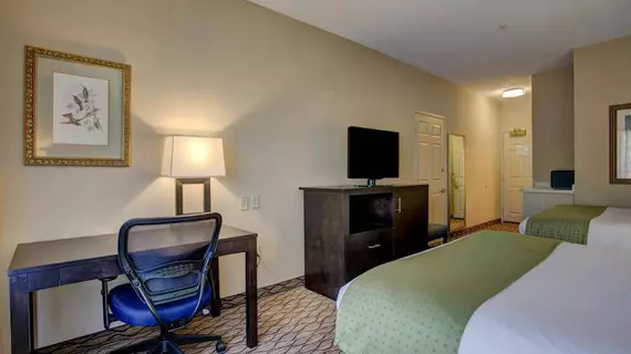 Holiday Inn Milwaukee Airport | Wisconsin - Milwaukee (ve civarı) - Milwaukee