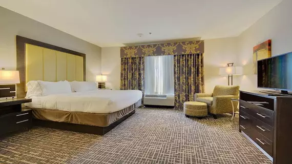 HOLIDAY INN EXPRESS & SUITES G | Louisiana - Baton Rouge (ve civarı) - Gonzales