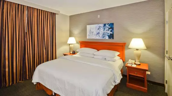 Embassy Suites Denver Stapleton | Kolorado - Denver (ve civarı) - Denver - Montbello