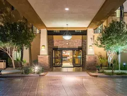 Staybridge Suites Phoenix-Glendale | Arizona - Phoenix (ve civarı) - Glendale