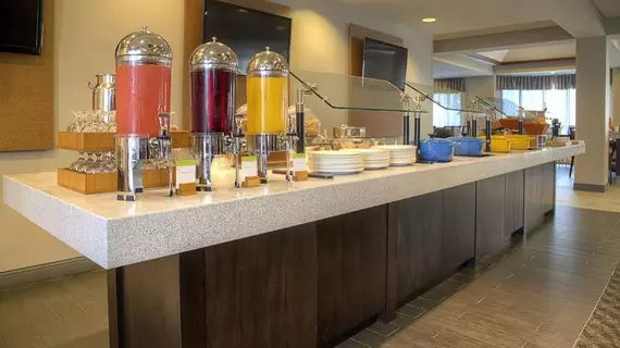 DoubleTree by Hilton Detroit Novi | Michigan - Detroit (ve civarı) - Novi