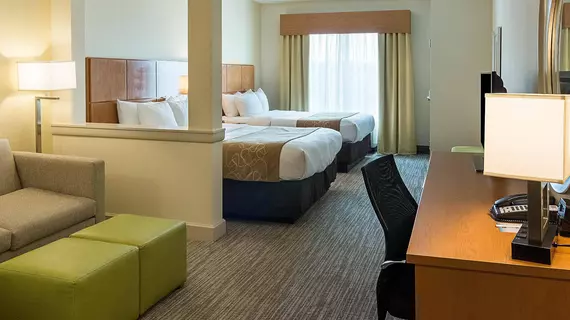 Comfort Suites Bossier City - Shreveport East | Louisiana - Bossier Parish - Shreveport (ve civarı) - Bossier City