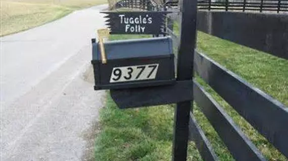 Tuggles' Folly Bed and Breakfast | Indiana - Lawrenceburg (ve civarı) - Aurora