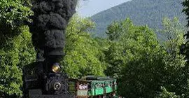 Cass Scenic Railroad State Park | Batı Virginia - Parkersburg (ve civarı) - Mineralwells