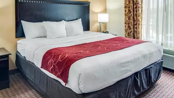 COMFORT SUITES SHREVEPORT | Louisiana - Bossier Parish - Shreveport (ve civarı) - Shreveport