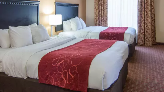 COMFORT SUITES SHREVEPORT | Louisiana - Bossier Parish - Shreveport (ve civarı) - Shreveport