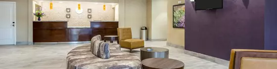 COMFORT INN & SUITES LOVINGTON | New Mexico - Lovington