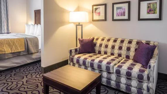 COMFORT INN & SUITES LOVINGTON | New Mexico - Lovington