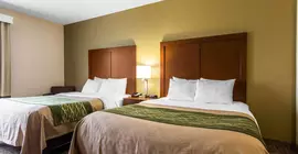 Comfort Inn & Suites Cave City | Kentucky - Bowling Green (ve civarı) - Cave City