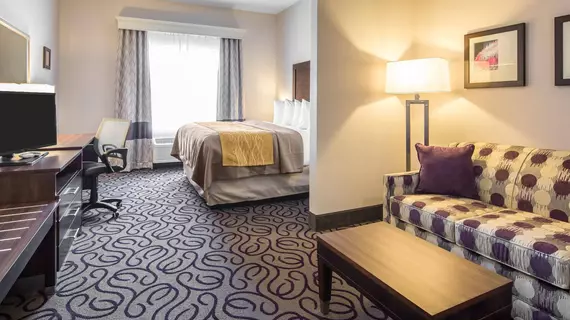 COMFORT INN & SUITES LOVINGTON | New Mexico - Lovington