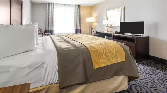 COMFORT INN & SUITES LOVINGTON | New Mexico - Lovington