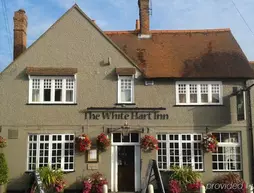 White Hart | Buckinghamshire (kontluk) - Chalfont St Giles