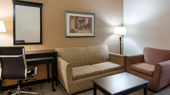 COMFORT SUITES SHREVEPORT | Louisiana - Bossier Parish - Shreveport (ve civarı) - Shreveport