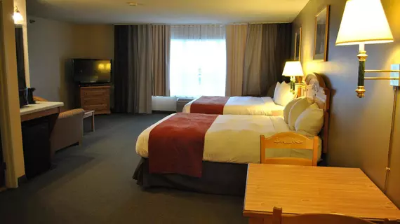 Country Inn By Carlson Buffalo | Minnesota - Monticello (ve civarı) - Buffalo