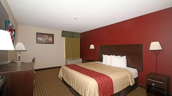 Rodeway Inn Expo Center | Güney Karolayna - Greenville - Spartanburg (ve civarı) - Spartanburg