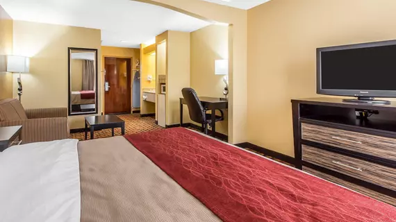 Comfort Inn Montgomery | Alabama - Montgomery (ve civarı) - Montgomery