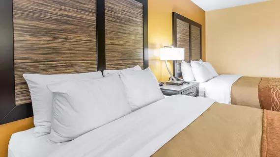 Comfort Inn Montgomery | Alabama - Montgomery (ve civarı) - Montgomery