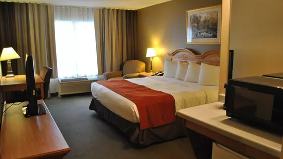 Country Inn By Carlson Buffalo | Minnesota - Monticello (ve civarı) - Buffalo