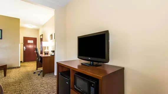 Comfort Inn & Suites Cave City | Kentucky - Bowling Green (ve civarı) - Cave City