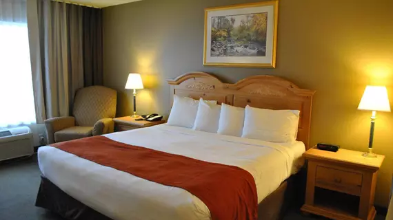 Country Inn By Carlson Buffalo | Minnesota - Monticello (ve civarı) - Buffalo