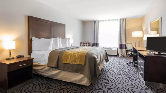 COMFORT INN & SUITES LOVINGTON | New Mexico - Lovington