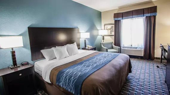 Comfort Inn Lees Summit | Missouri - Kansas City (ve civarı) - Lee's Summit