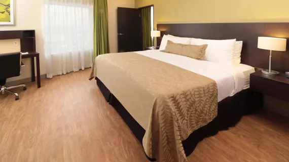 Staybridge Suites San Luis Potosi | San Luis Potosi - San Luis Potosi