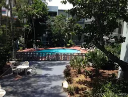 Beach Plaza Hotel 3 Palms | Florida - Fort Lauderdale (ve civarı) - Fort Lauderale