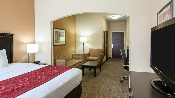 COMFORT SUITES SHREVEPORT | Louisiana - Bossier Parish - Shreveport (ve civarı) - Shreveport