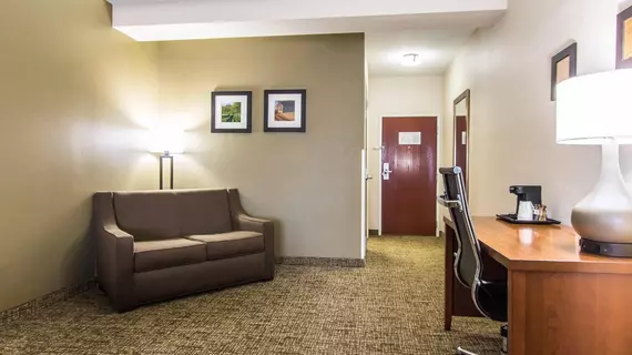 Comfort Inn & Suites Cave City | Kentucky - Bowling Green (ve civarı) - Cave City