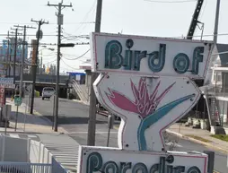 Bird of Paradise Motel | New Jersey - Middle Township - Cape May - Wildwood (ve civarı) - North Wildwood