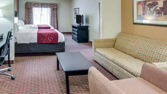 COMFORT SUITES SHREVEPORT | Louisiana - Bossier Parish - Shreveport (ve civarı) - Shreveport