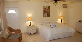 Alcazar Resort- Gay Mens Resort | Florida - Fort Lauderdale (ve civarı) - Fort Lauderale