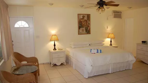 Alcazar Resort- Gay Mens Resort | Florida - Fort Lauderdale (ve civarı) - Fort Lauderale