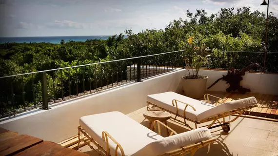 Hotel La Semilla - Adults Only | Quintana Roo - Solidaridad - Playa del Carmen