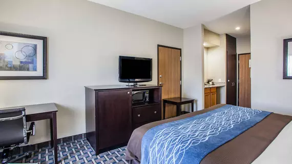 Comfort Inn Lees Summit | Missouri - Kansas City (ve civarı) - Lee's Summit