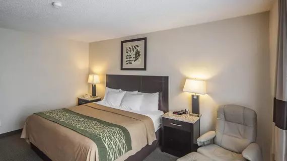 Comfort Inn & Suites Downtown Edmonton | Alberta - Edmonton (ve civarı) - Edmonton - Downtown Edmonton