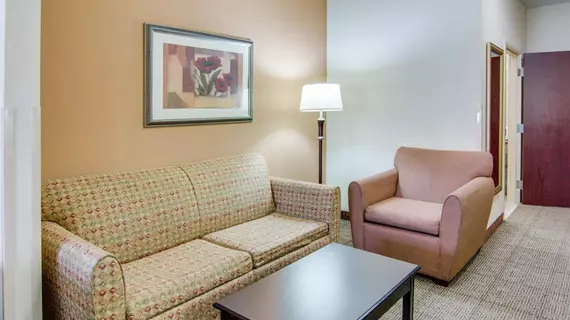 COMFORT SUITES SHREVEPORT | Louisiana - Bossier Parish - Shreveport (ve civarı) - Shreveport