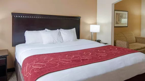 COMFORT SUITES SHREVEPORT | Louisiana - Bossier Parish - Shreveport (ve civarı) - Shreveport