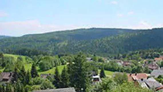 Parkhotel Waldlust | Baden-Wuerttemberg - Haeusern