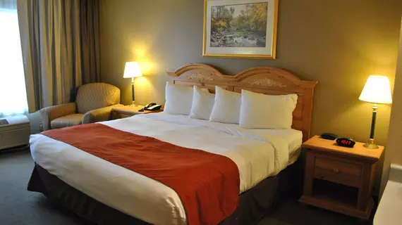 Country Inn By Carlson Buffalo | Minnesota - Monticello (ve civarı) - Buffalo