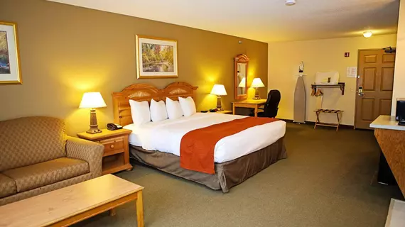 Country Inn By Carlson Buffalo | Minnesota - Monticello (ve civarı) - Buffalo