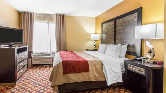 Comfort Inn Montgomery | Alabama - Montgomery (ve civarı) - Montgomery