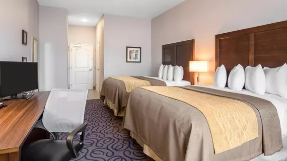 COMFORT INN & SUITES LOVINGTON | New Mexico - Lovington