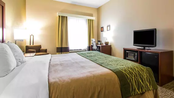 Comfort Inn & Suites Cave City | Kentucky - Bowling Green (ve civarı) - Cave City